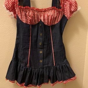Cute Gingham/Denim Costume Dress